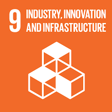 SDG 9