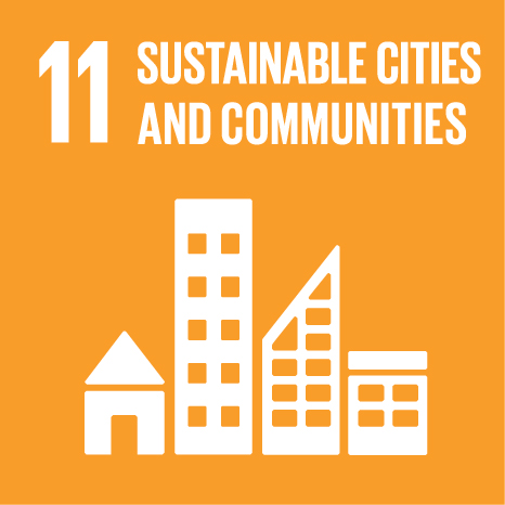 SDG 11