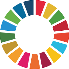 Sustainable Development Goals (SDGs)